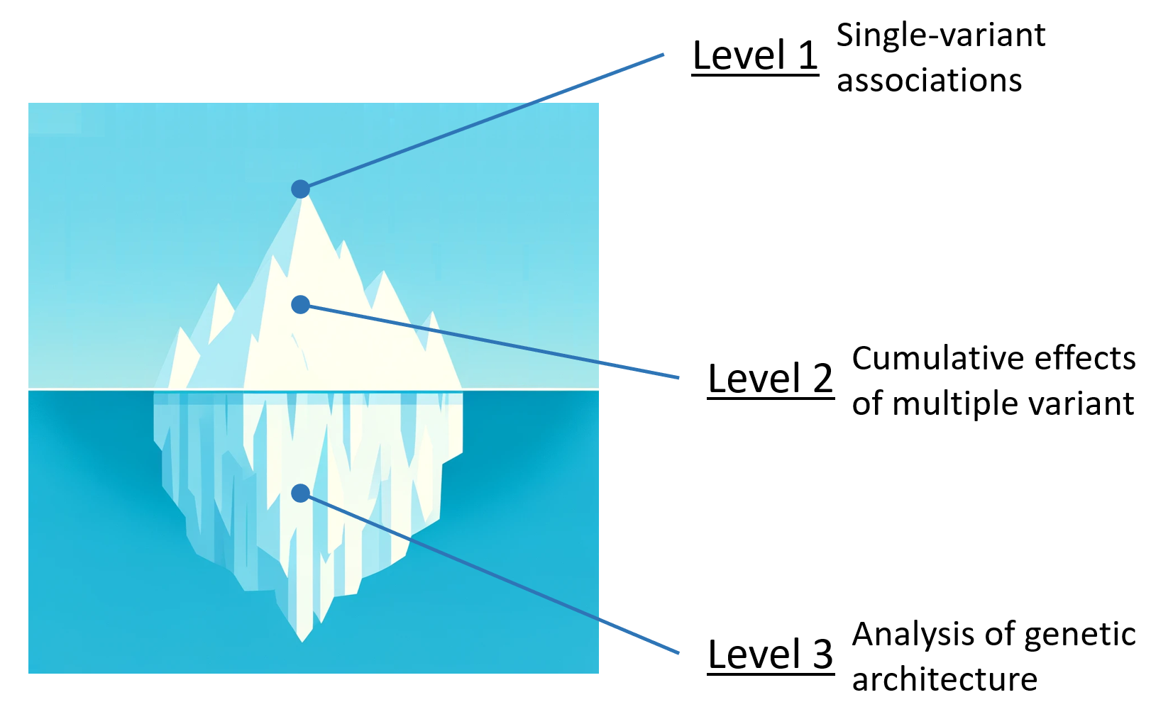 Iceberg diagram illustrating three levels of genomic analysis: single-variant associations, cumulative polygenic effects, and overall genetic architecture
